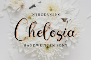 Chelosia: A Designer’s Take on This Script Font