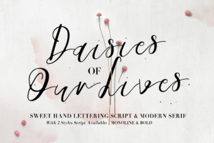 Daisies of Our Lives Font: A Branding Review