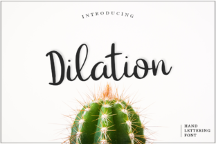 Dilation Font Review: Fresh Calligraphy for Web Design