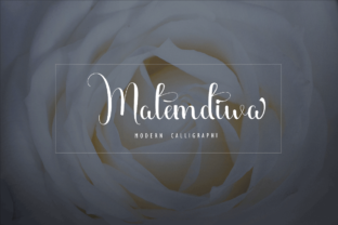 Malemdiwa Font: Elevating Campaign Visuals with Feminine Script