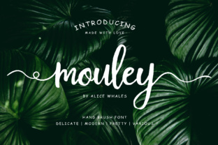Mouley Font: Elevating Editorial Design