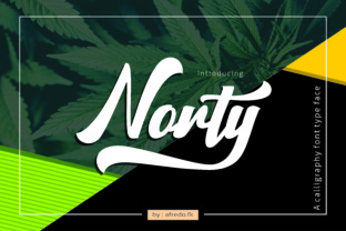 Norty Font: A Painterly Display Typeface for Makers