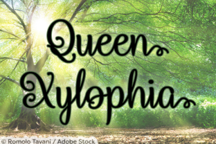 Queen Xylophia Font: Elevating Brand Identity Design