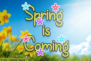 Spring is Coming Font: A Web Designer’s Layout Test