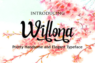 Willona Font: Elevating Small Business Branding